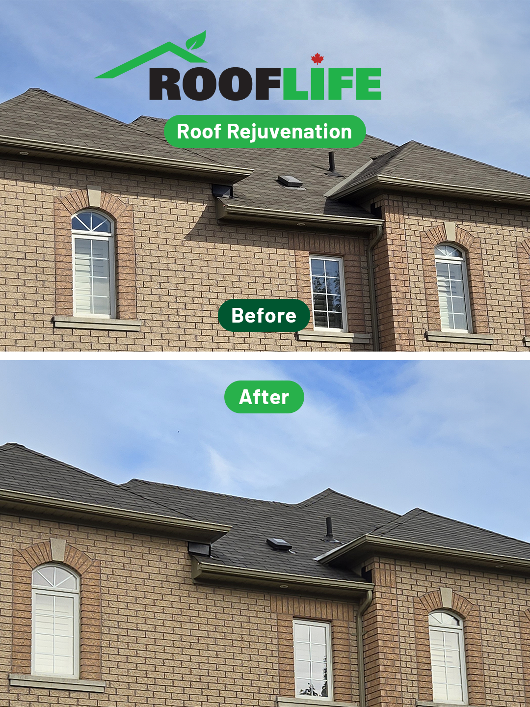 RoofLife Ottawa