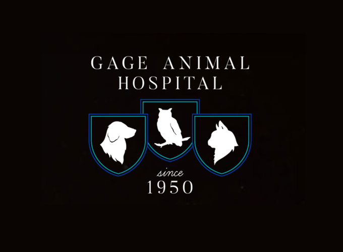Gage Animal Hospital