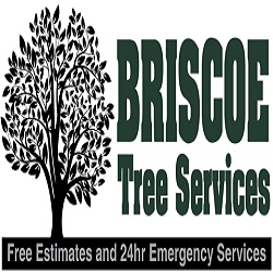 Briscoe Tree Service