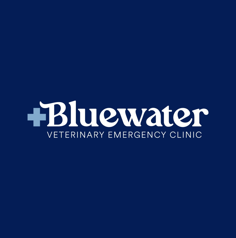 Bluewater Veterinary Emergency Clinic