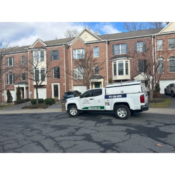 Pestechs Pest Control
