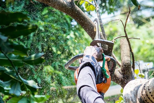 Vision Tree Service