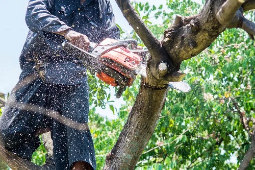 Vision Tree Service