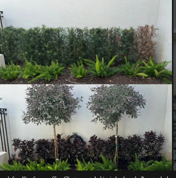 Landscape Designers Delray Beach