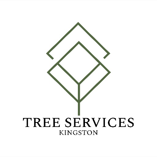 Tree Services Kingston