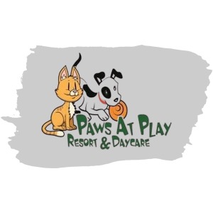 Paws at Play Resort & Daycare