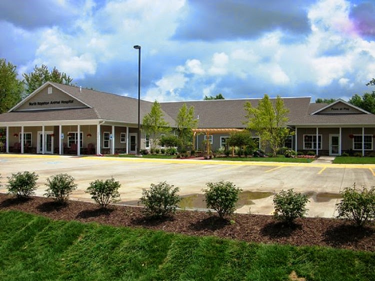 Paws at Play Resort & Daycare