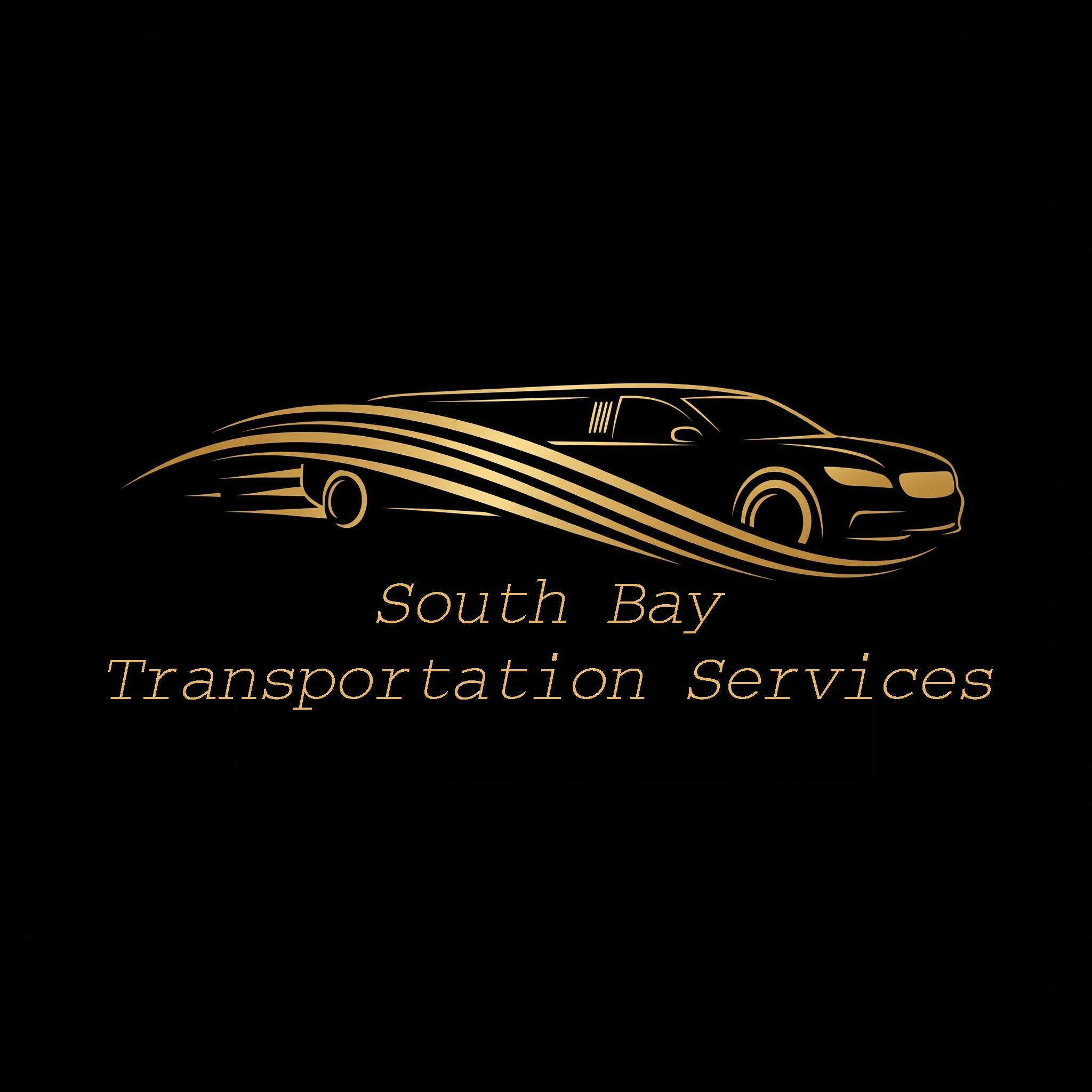 south bay transportation services