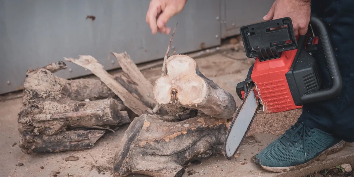 Tree Cutting and Removal at Discounted Prices