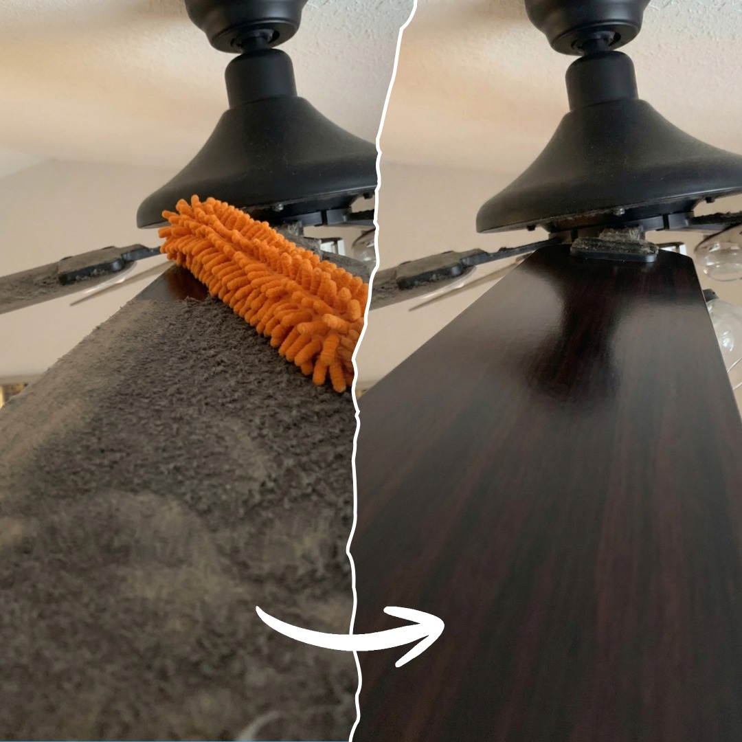 Tidyland Cleaning Services