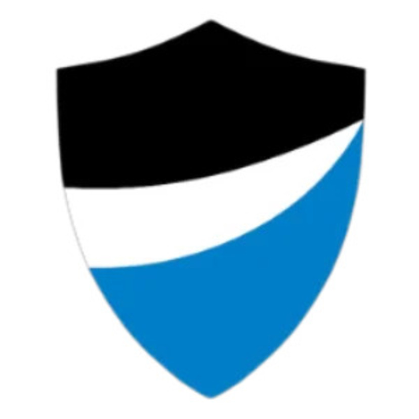 ProGuard Auto Glass