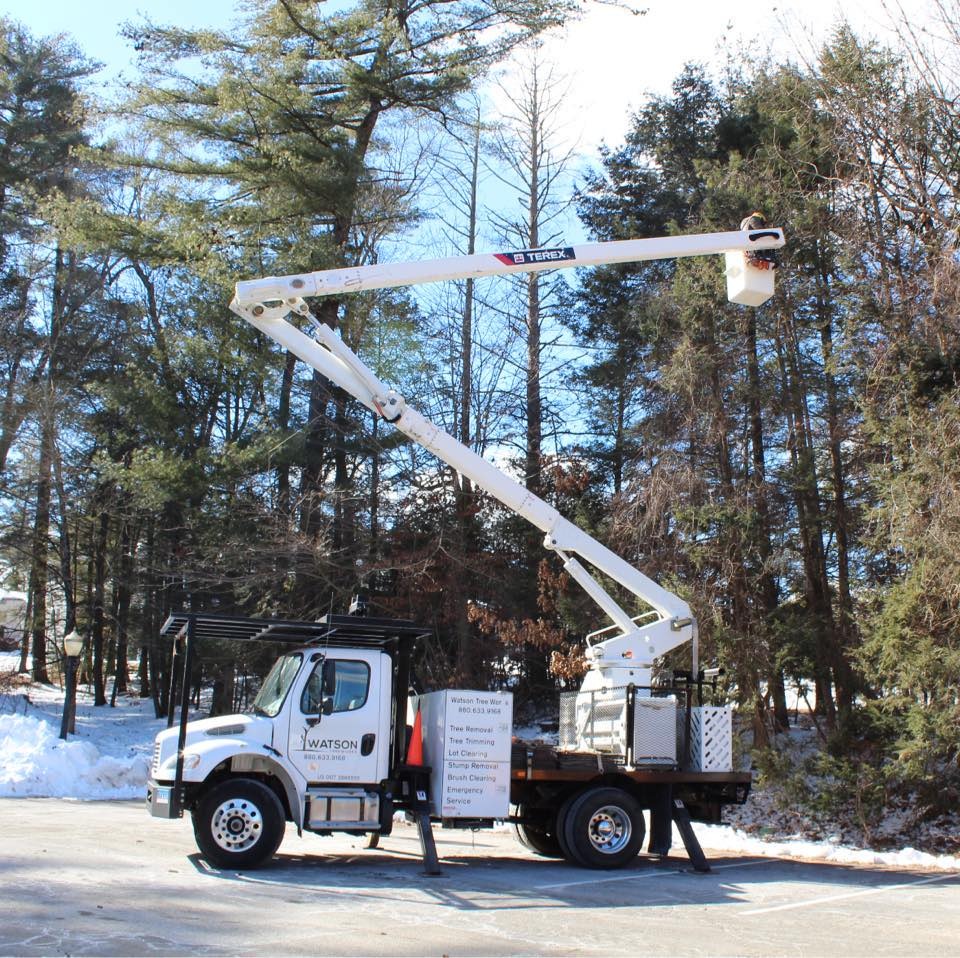 Watson Treeworks
