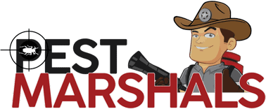 Pest Marshals of Asheville & WNC