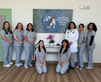 Pasadena Veterinary Urgent Care