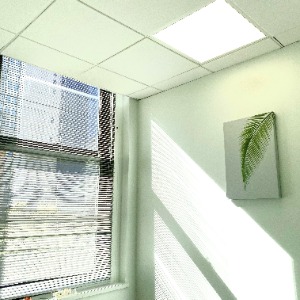 Apex Acupuncture And Chiropractic-Downtown