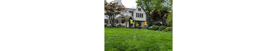 NoVa Lining Company, LLC