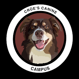 Crüe's Canine Campus | Dog Training Prince George