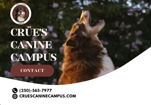 Crüe's Canine Campus | Dog Training Prince George