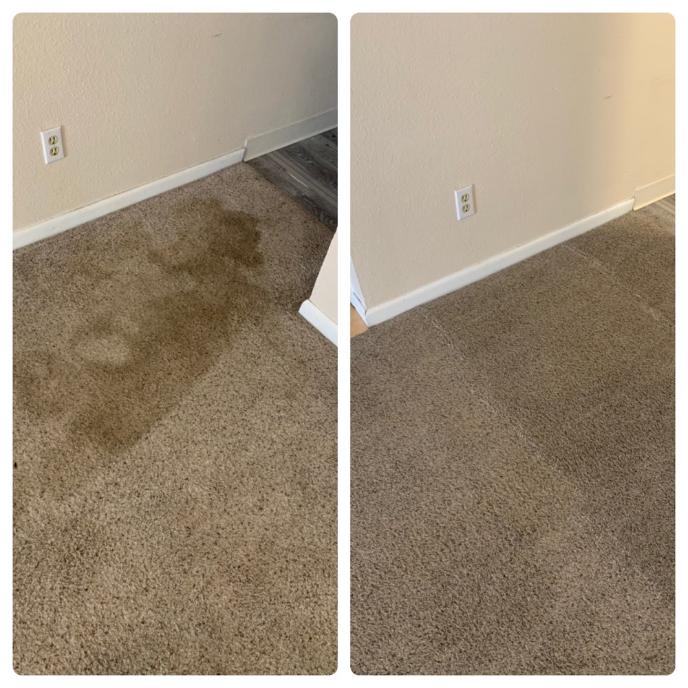 I V Lee Carpet Cleaning
