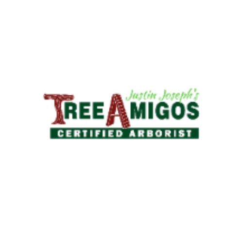 Tree Amigos Tree Service