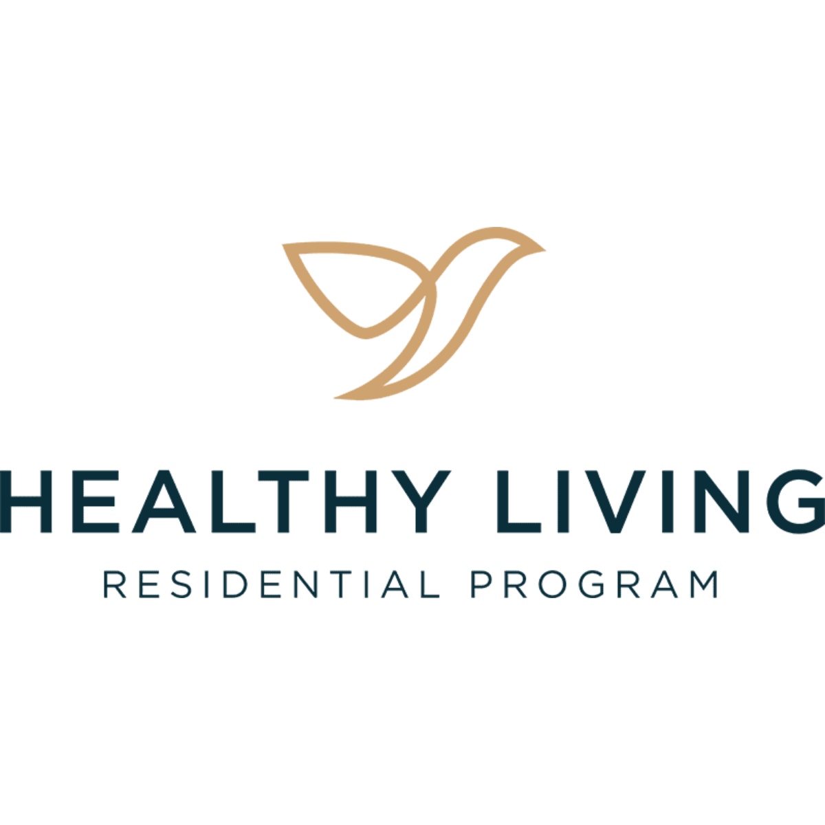 Healthy Living Lifestyle