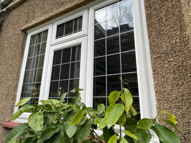 Apex Windows Ltd