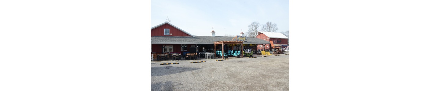 Pumpkin Patch Market