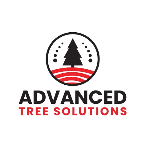 Advanced Tree Solutions
