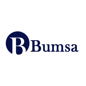 Bumsa Inc