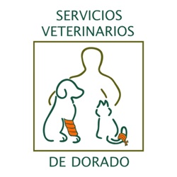 Servicios Veterinarios De Dorado