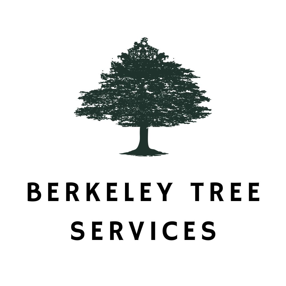 Berkeley Tree Services