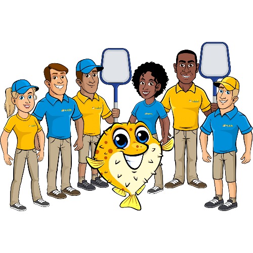 Puddle Pool Services
