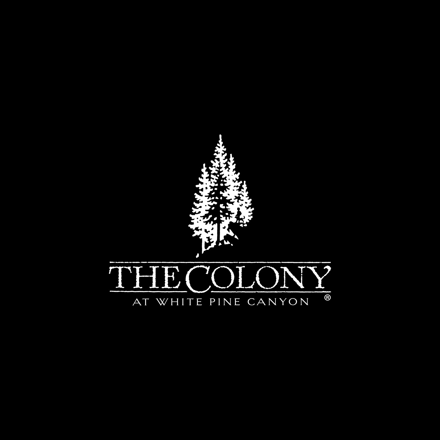 The Colony at White Pine Canyon