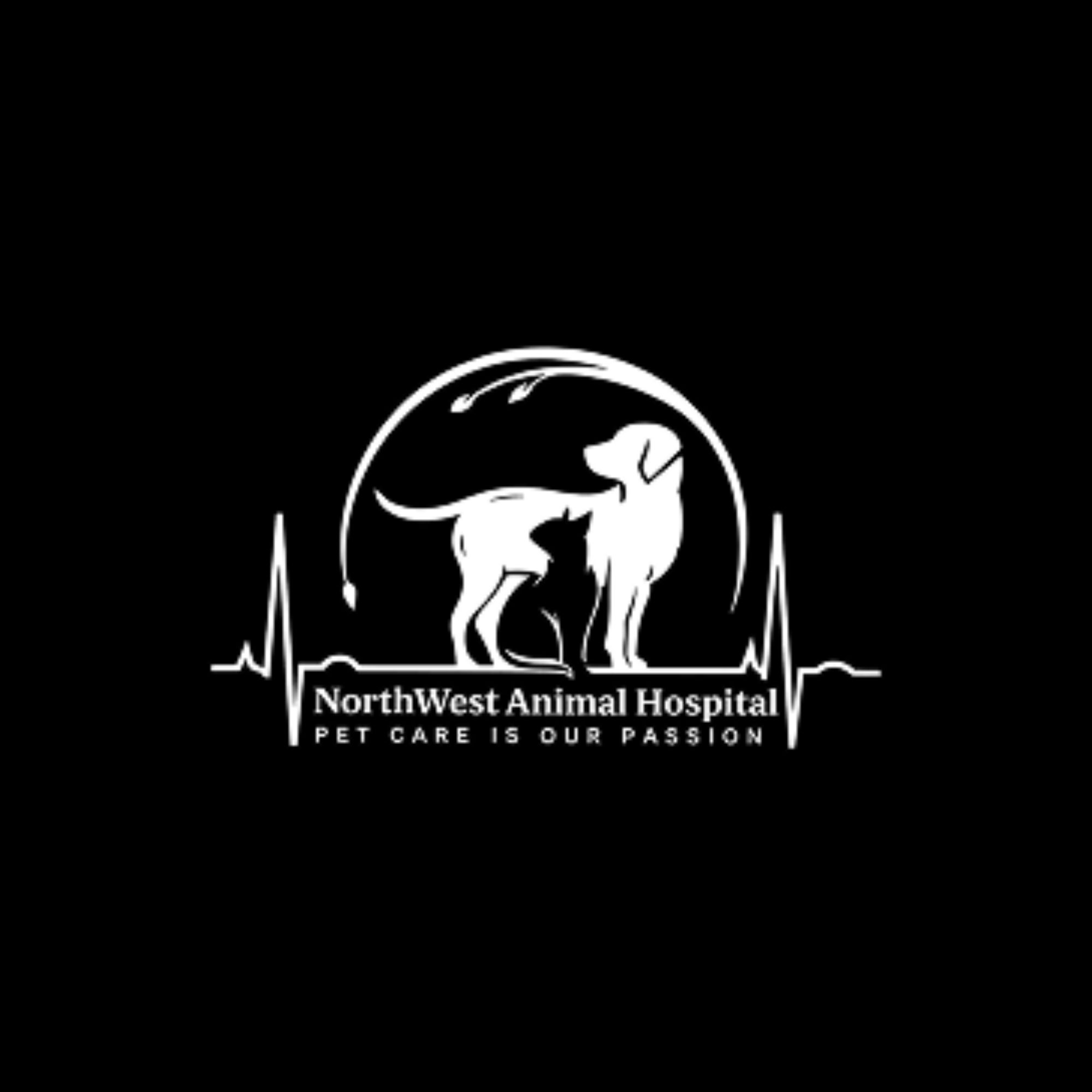 NorthWest Animal Hospital