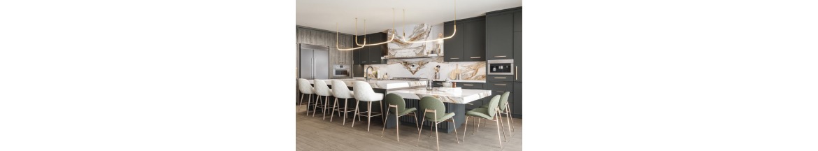 Georgian Custom Homes and Renovations