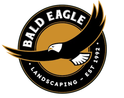 Bald Eagle - Landscaping Victoria