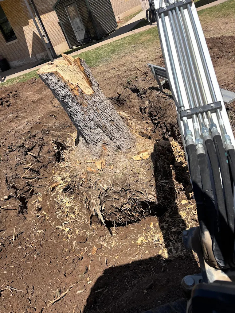 Borders Tree Services
