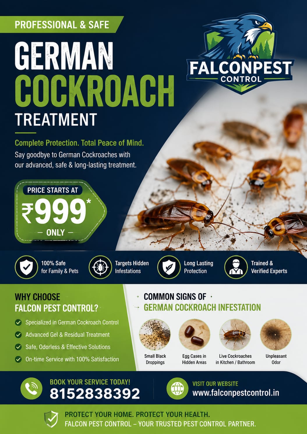 Falcon pest control Bangalore residential commercial