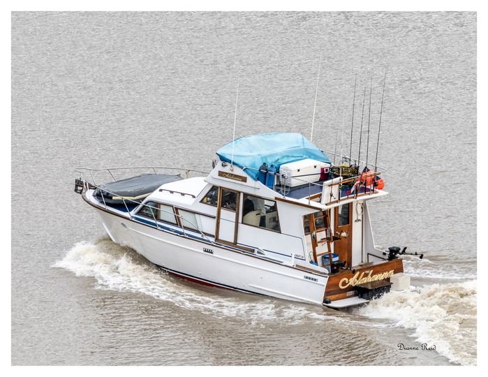 Alahanna Seaventures Boat charter BC Sportfishing