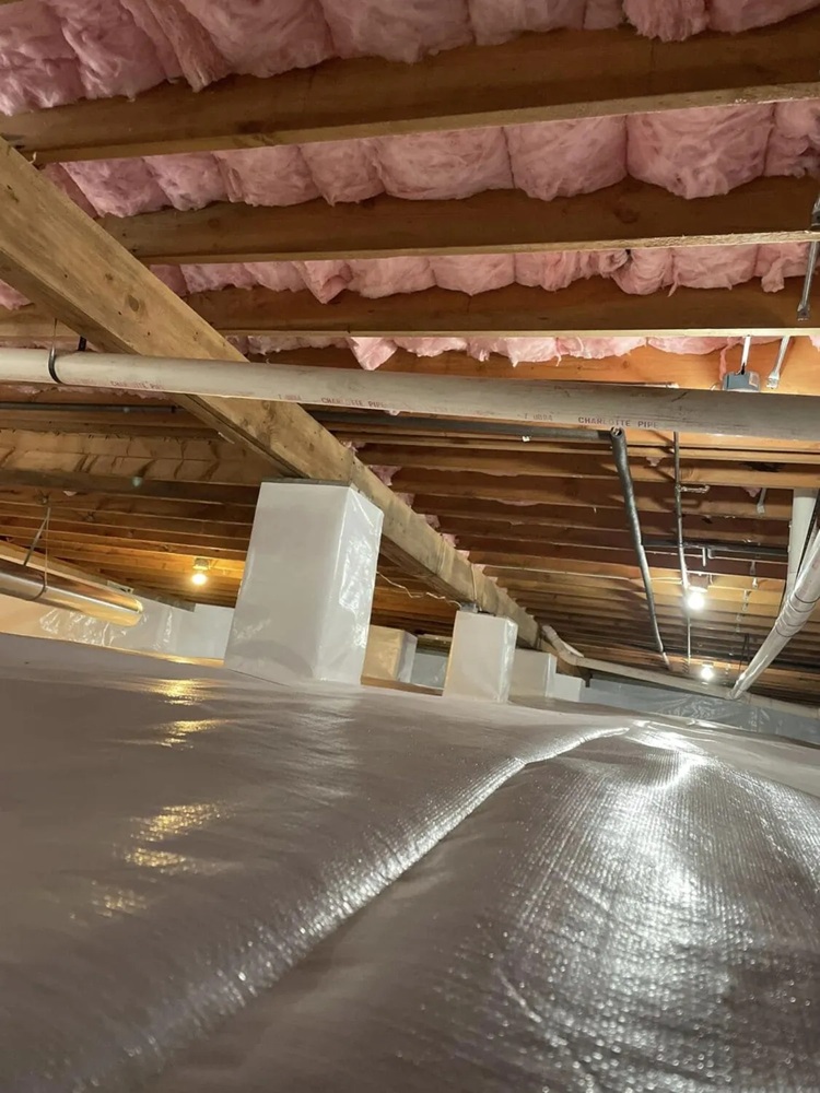 Brincefield Crawlspace Solutions