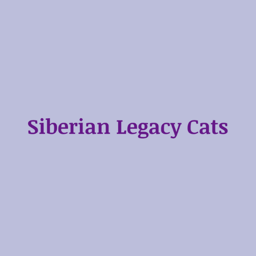 Siberian Legacy Cats