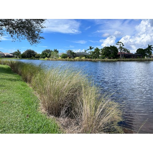Seabreeze Lake Maintenance