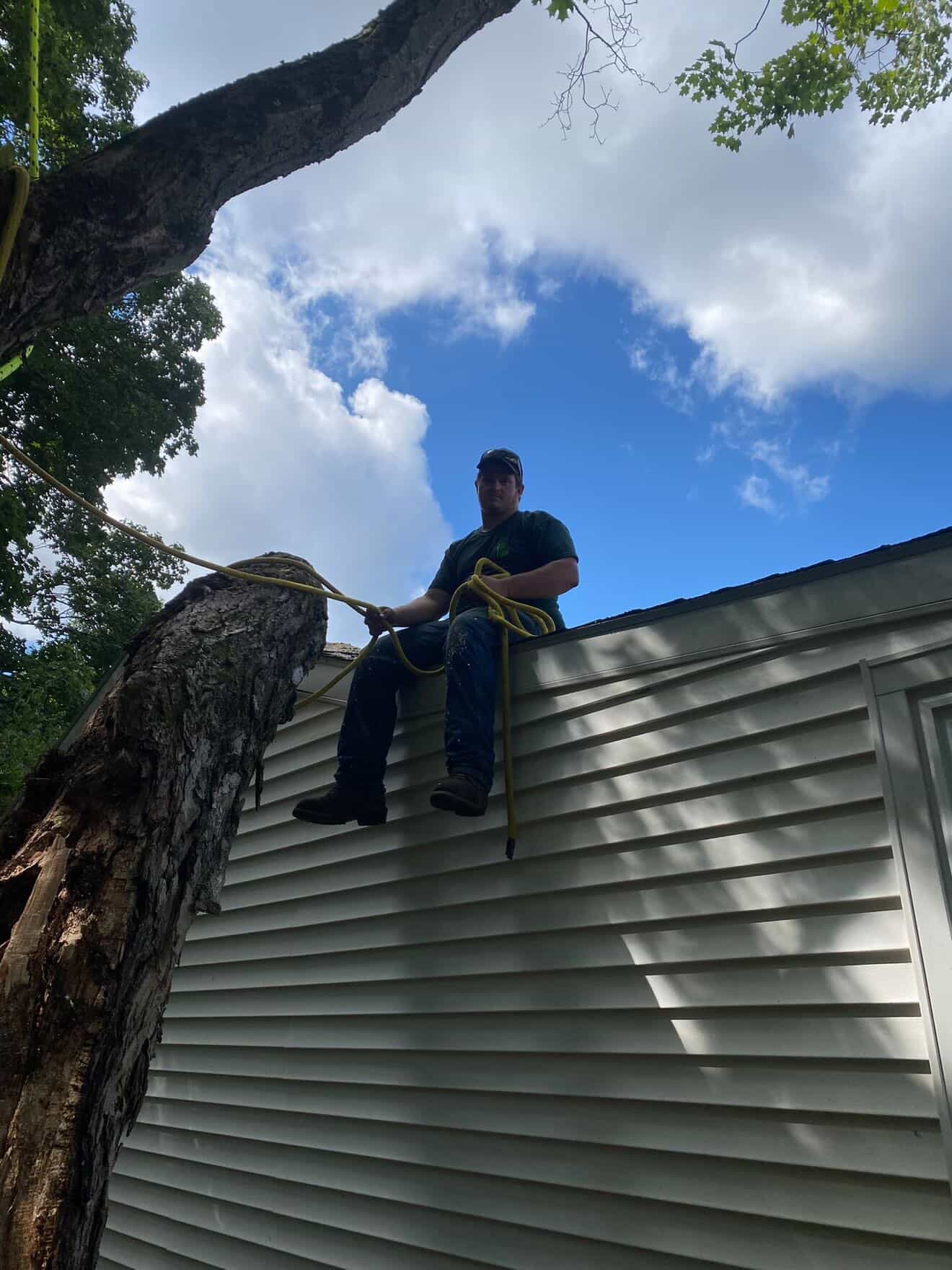 GXB Precision Tree Care