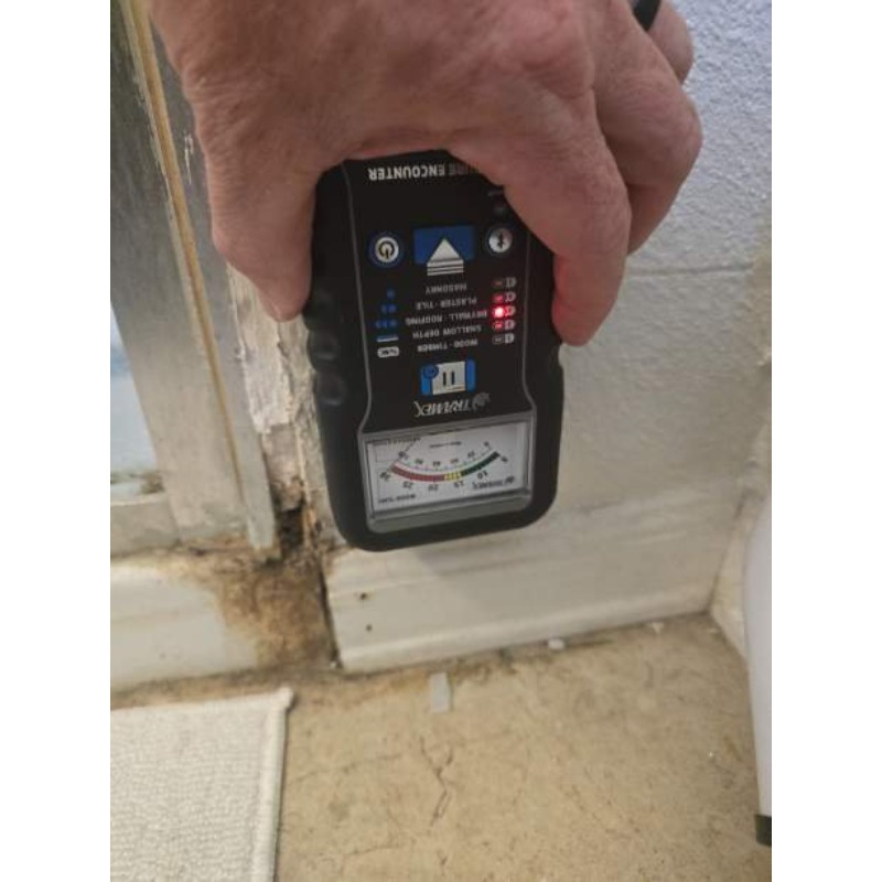 Fast Mold Testing - Pittsburgh