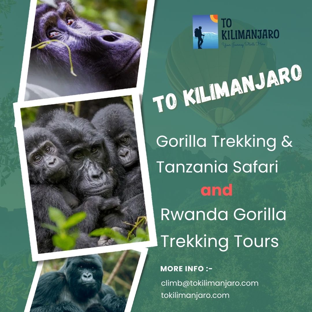 To Kilimanjaro