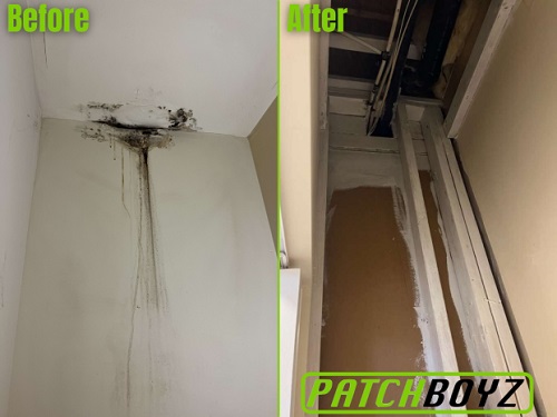 PatchBoyz Mold Removal - Asbestos & Restoration