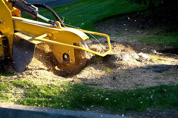 Campbells Arboriculture - Tree Surgeons