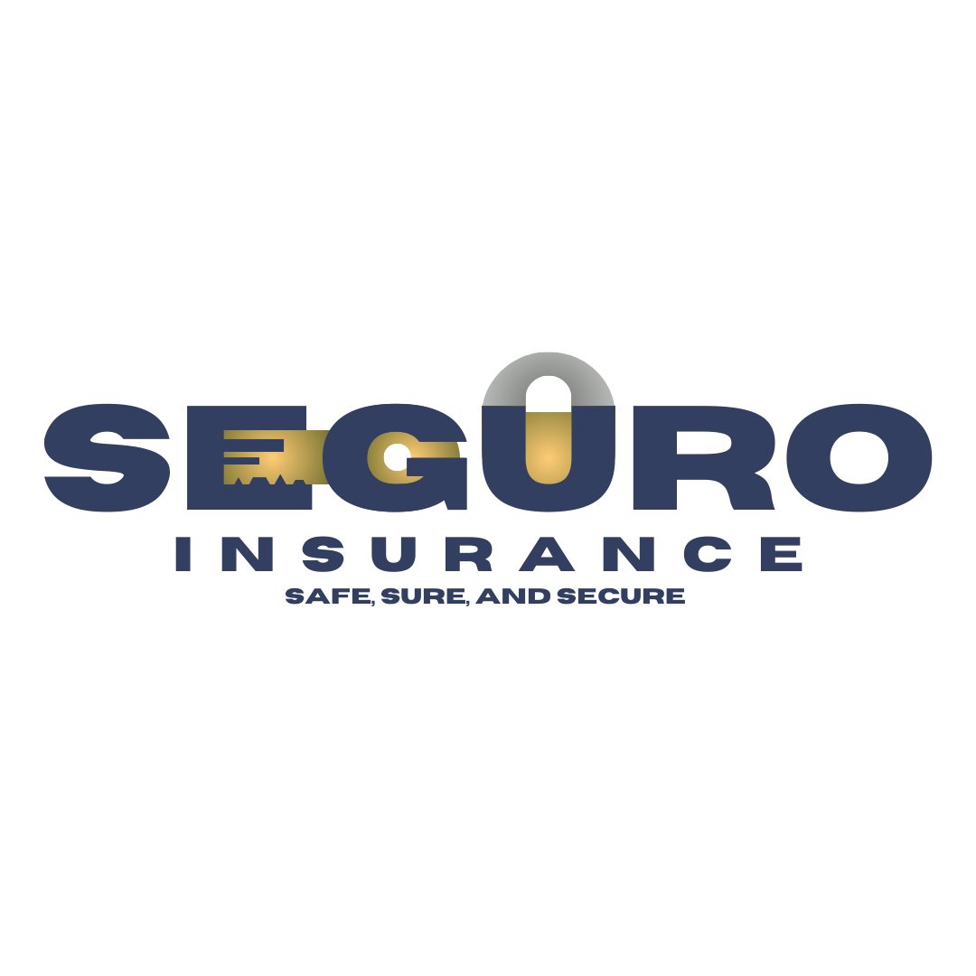 Seguro Insurance