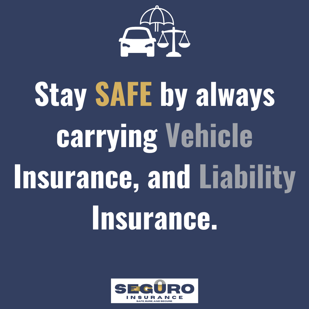 Seguro Insurance