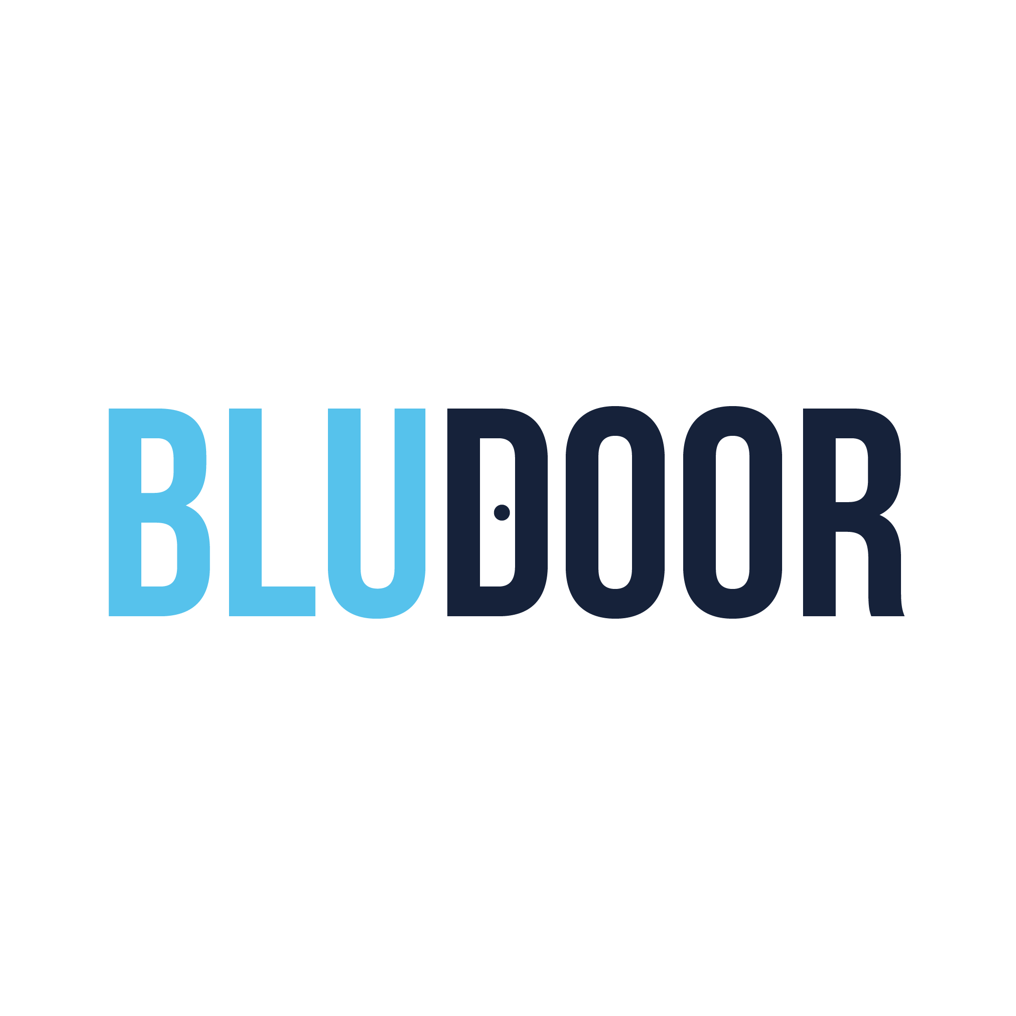 BluDoor